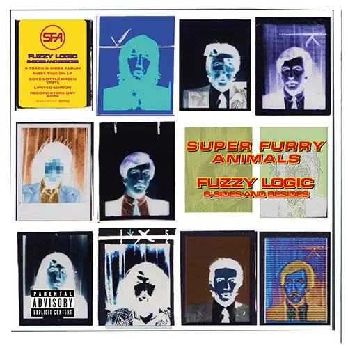 Fuzzy Logic (B-Sides & Besides)