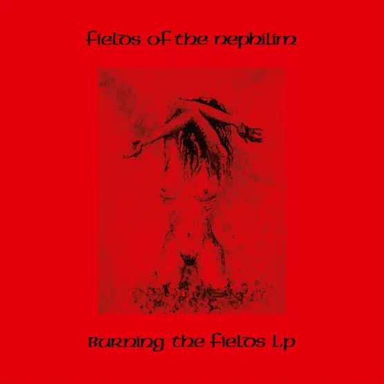 Burning the Fields LP