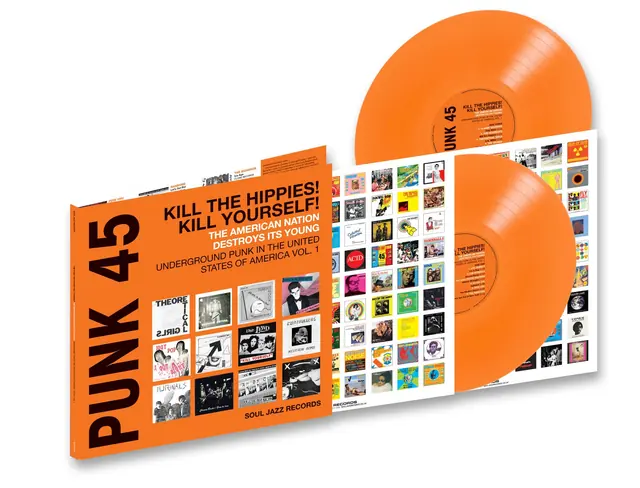 Punk 45: Kill the Hippies! Kill Yourself! The American Nation Destroys Its Young - Preview 2